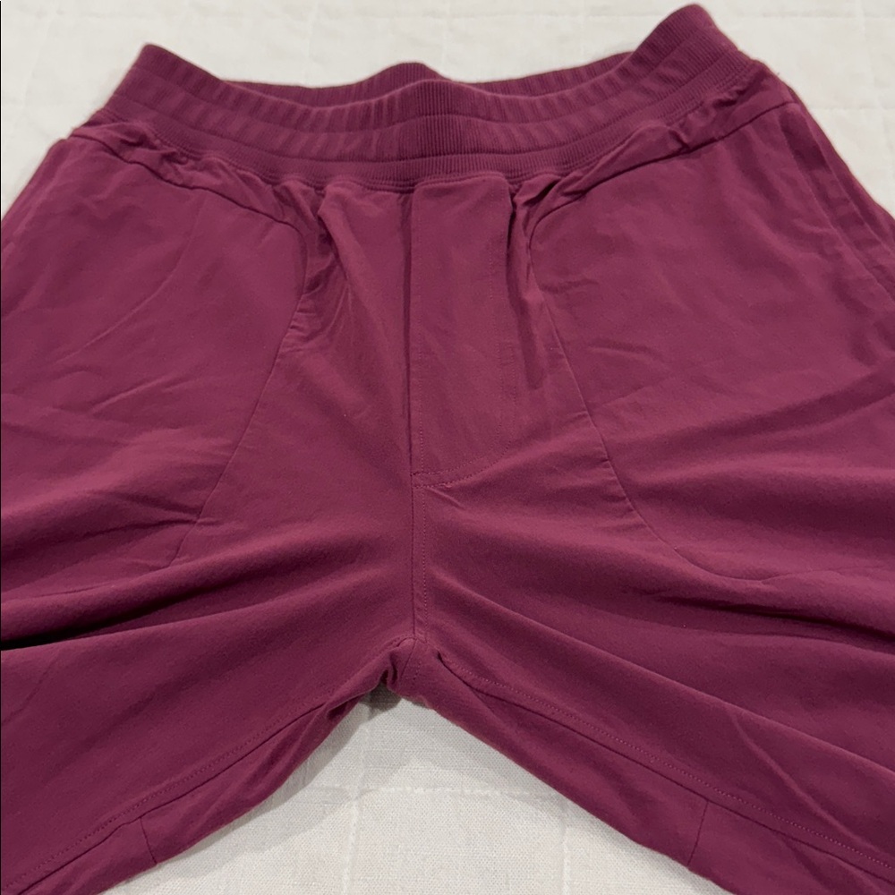 Alo Joggers - Picture 4 of 13